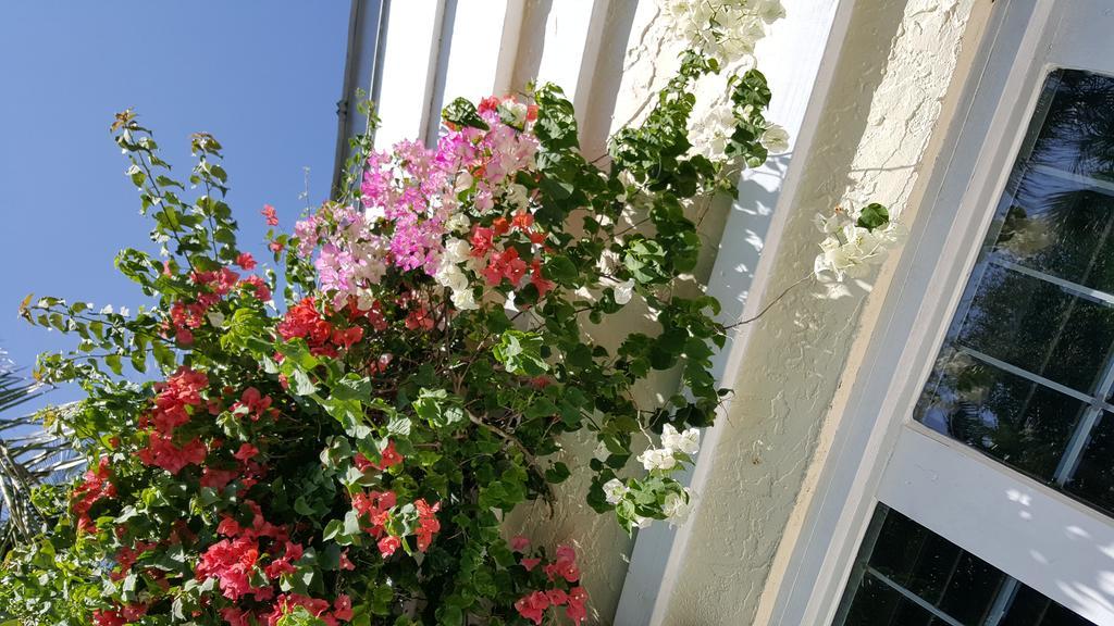 Double Room Balcony Pool View,122238649:JPEG